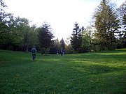 CIMG4855.JPG