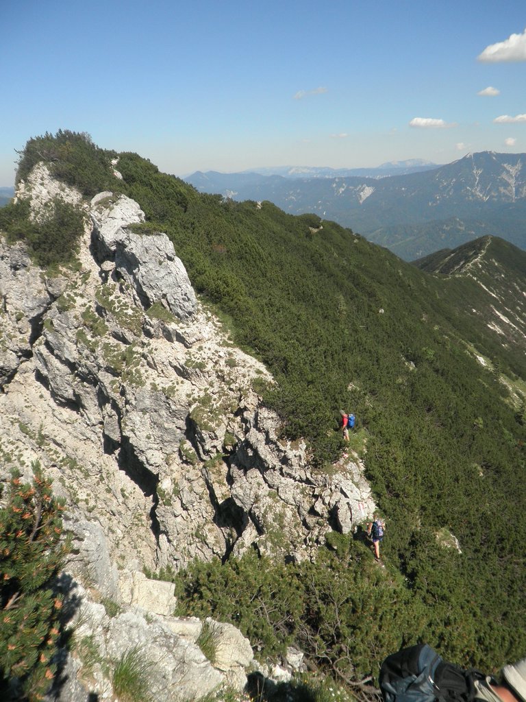 P7100222.JPG