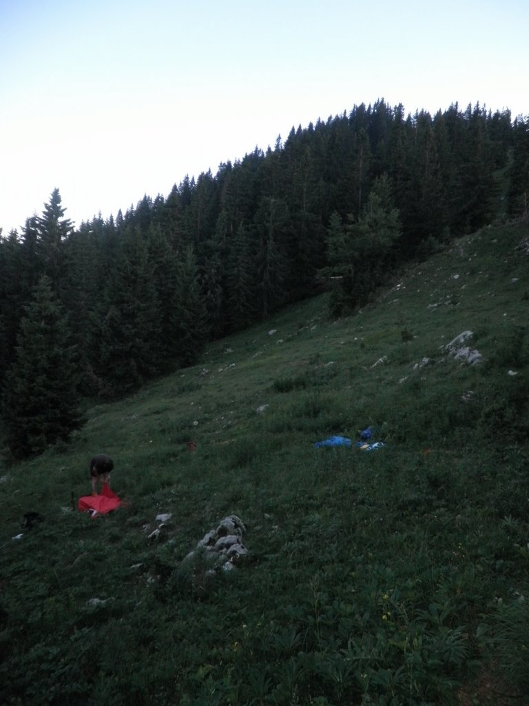 P7100253.JPG