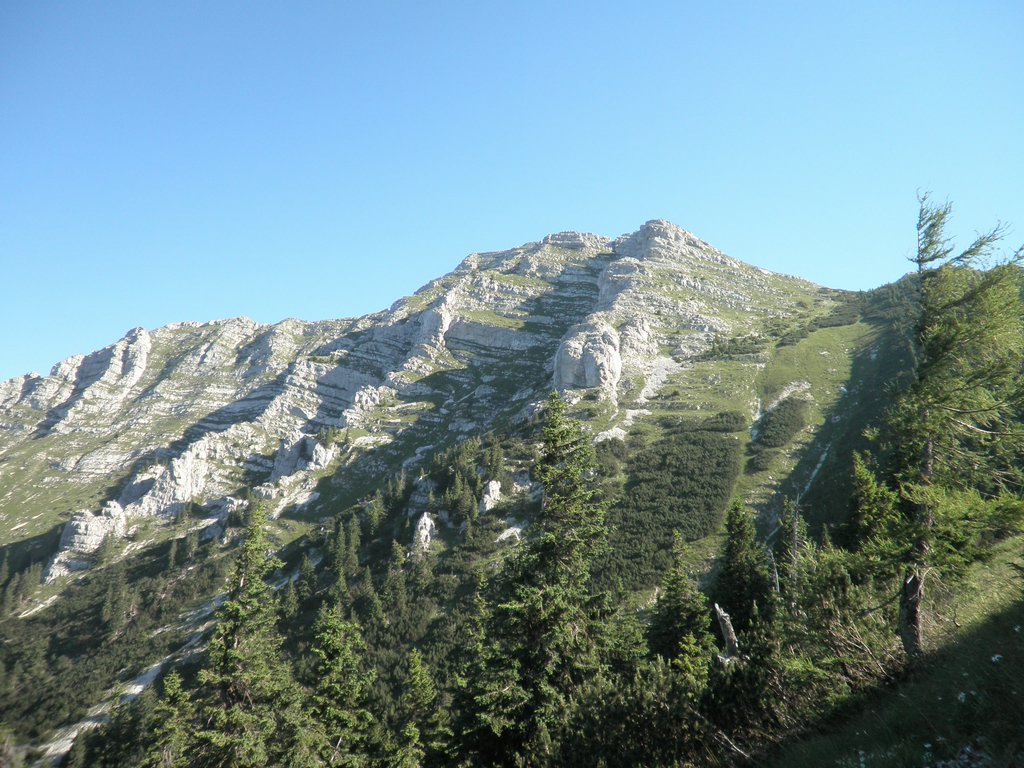 P7110273.JPG