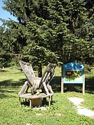 P7100158.JPG
