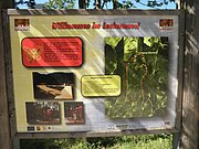 P7100159.JPG