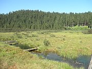 P7100162.JPG