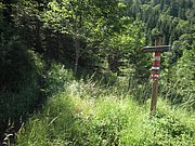 P7100166.JPG