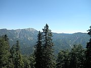 P7100176.JPG