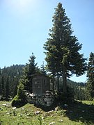 P7100182.JPG