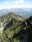 P7100224.JPG