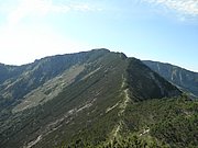 P7100225.JPG