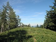 P7100227.JPG