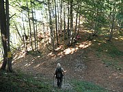 P7100229.JPG