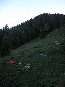 P7100253.JPG