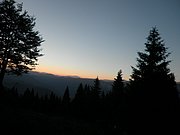 P7110255.JPG