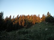 P7110257.JPG