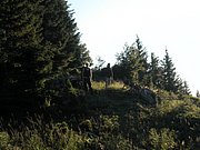 P7110262.JPG