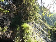 P7110263.JPG
