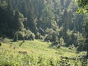 P7110265.JPG