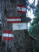 P7110266.JPG
