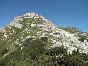 P7110274.JPG