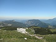 P7110283.JPG