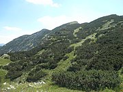 P7110286.JPG