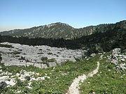 P7110288.JPG