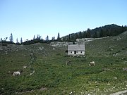 P7110291.JPG
