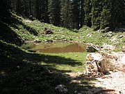 P7110294.JPG