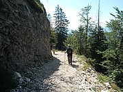 P7110302.JPG