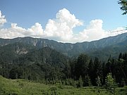 P7110307.JPG