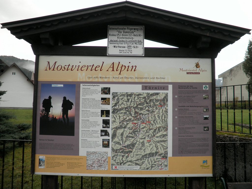 PA230001.JPG