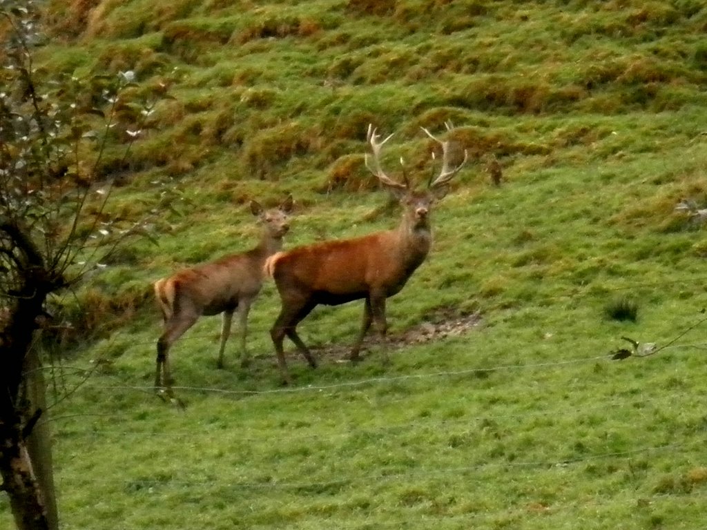 PA230005.JPG