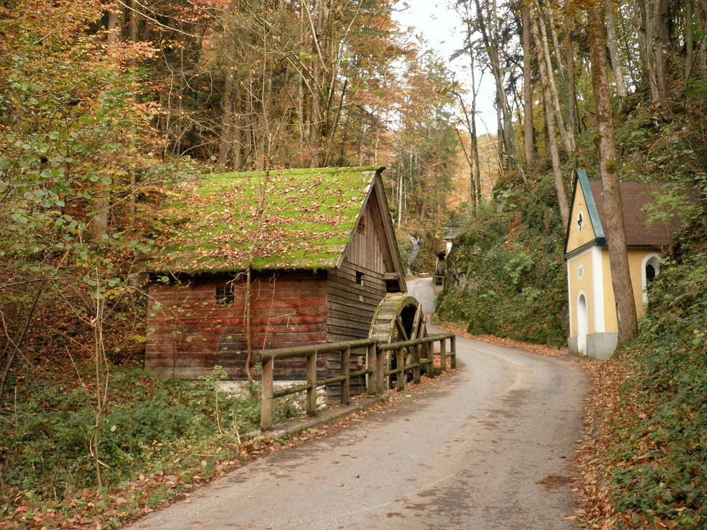 PA230008.JPG