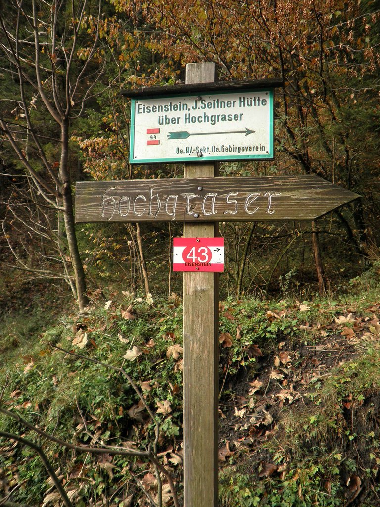 PA230013.JPG