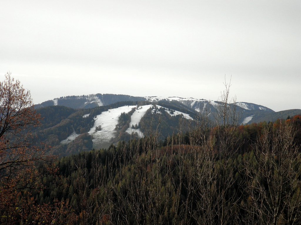 PA230020.JPG