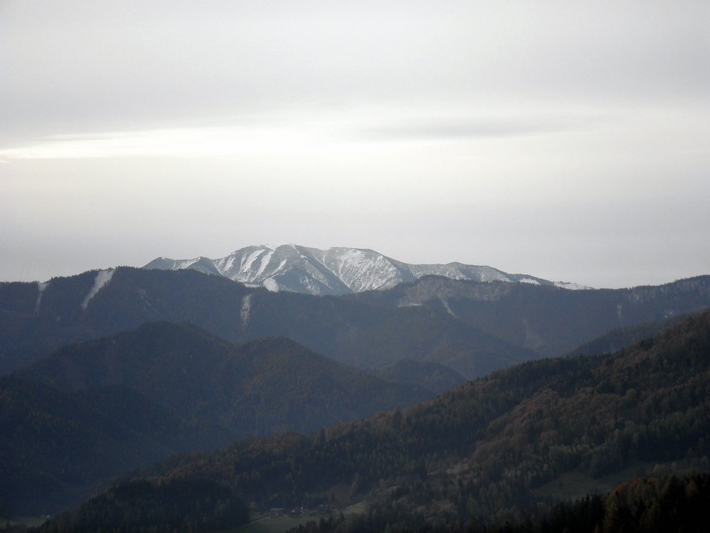 PA230021.JPG
