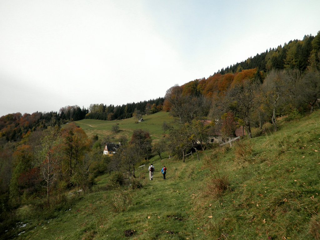 PA230023.JPG