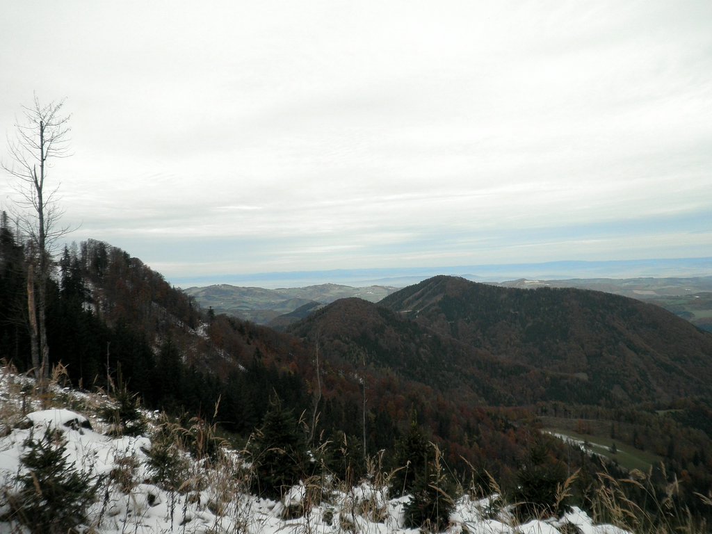PA230031.JPG