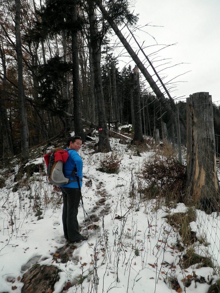 PA230032.JPG