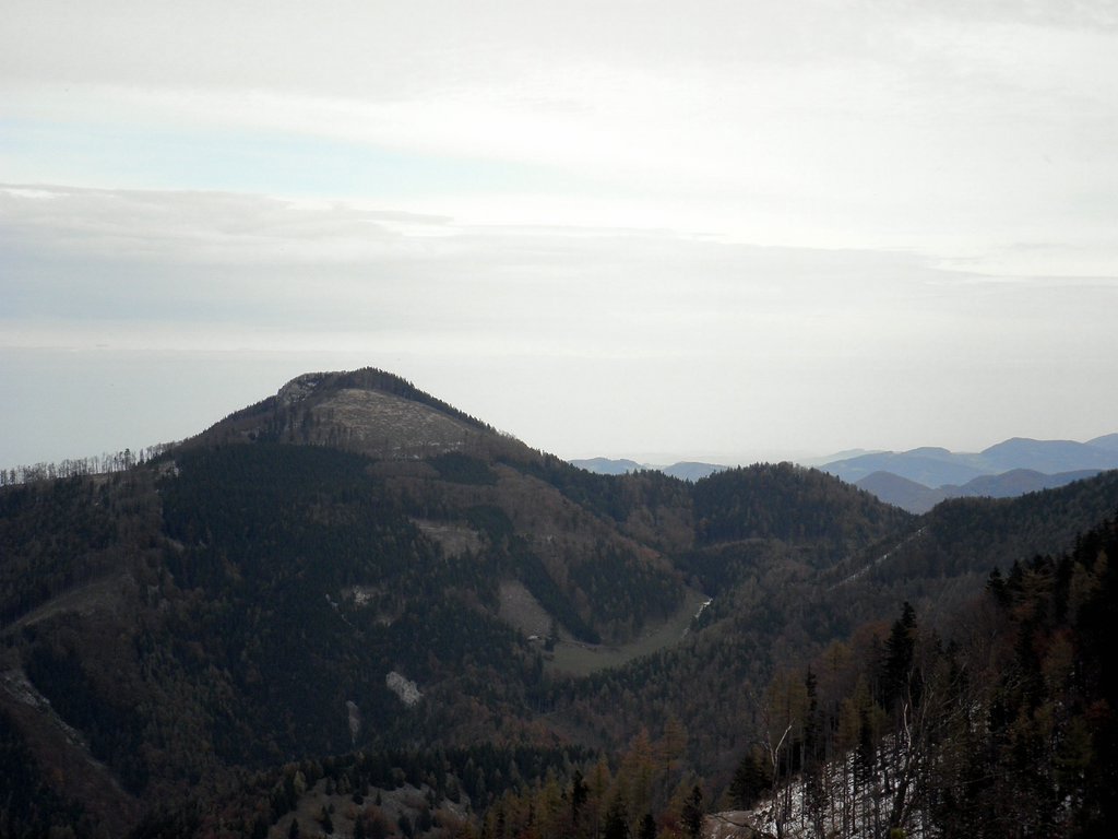 PA230035.JPG