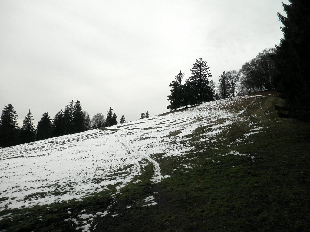 PA230036.JPG