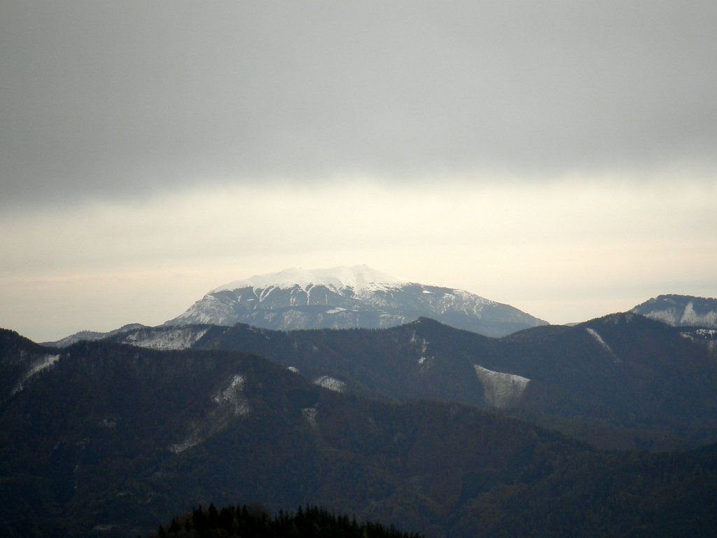 PA230045.JPG