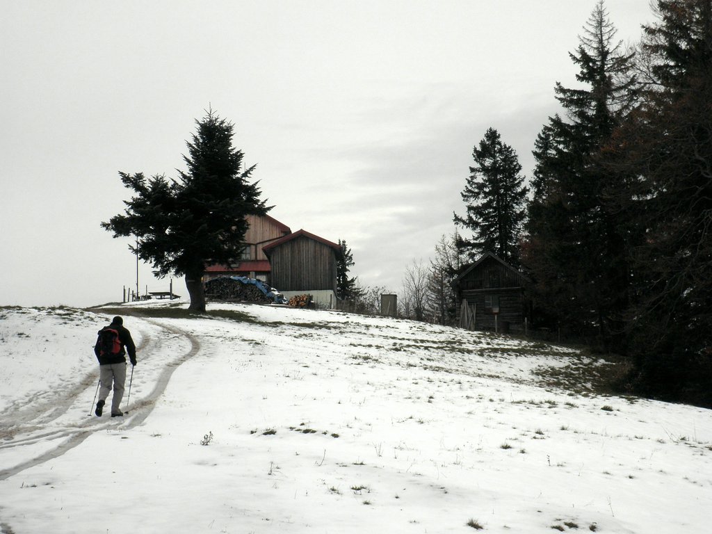 PA230049.JPG