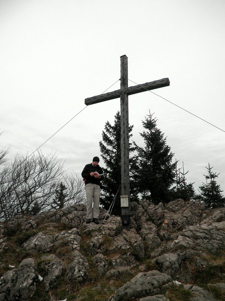 PA230052.JPG