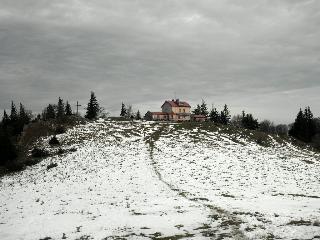 PA230058.JPG