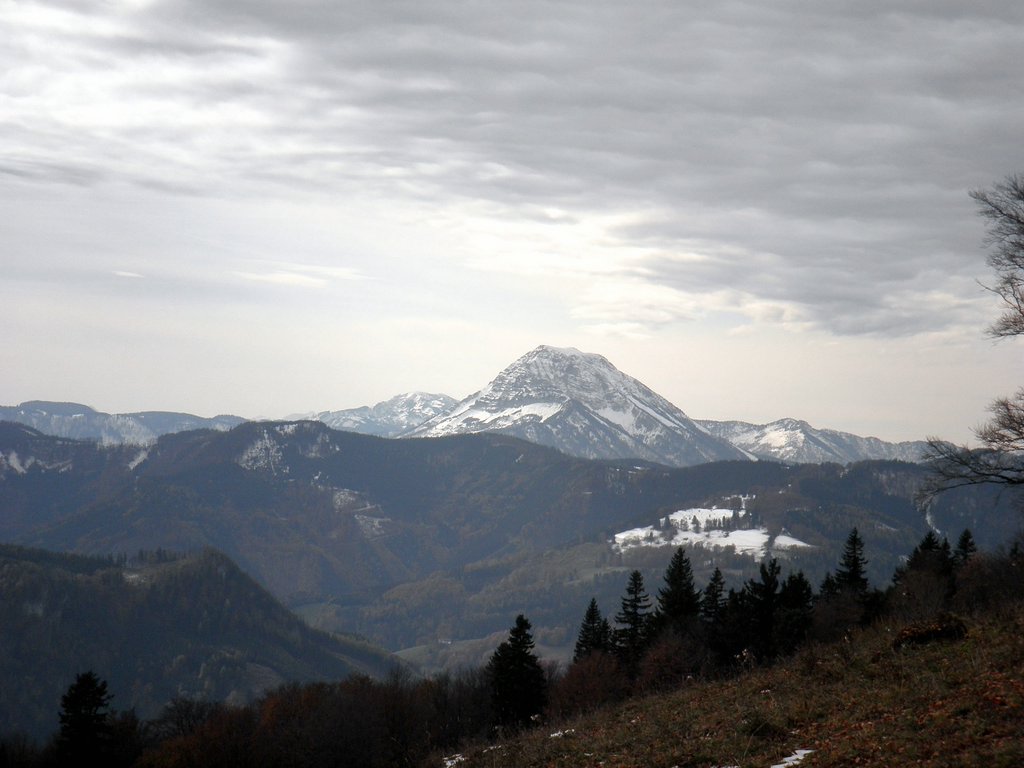 PA230059.JPG
