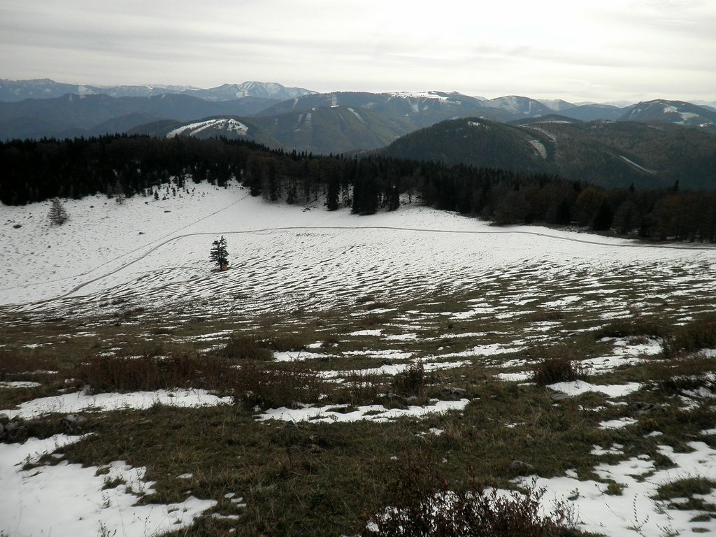 PA230060.JPG