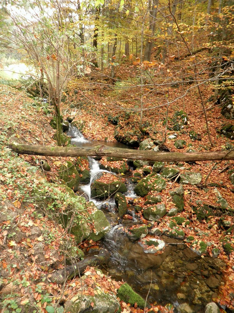 PA230072.JPG
