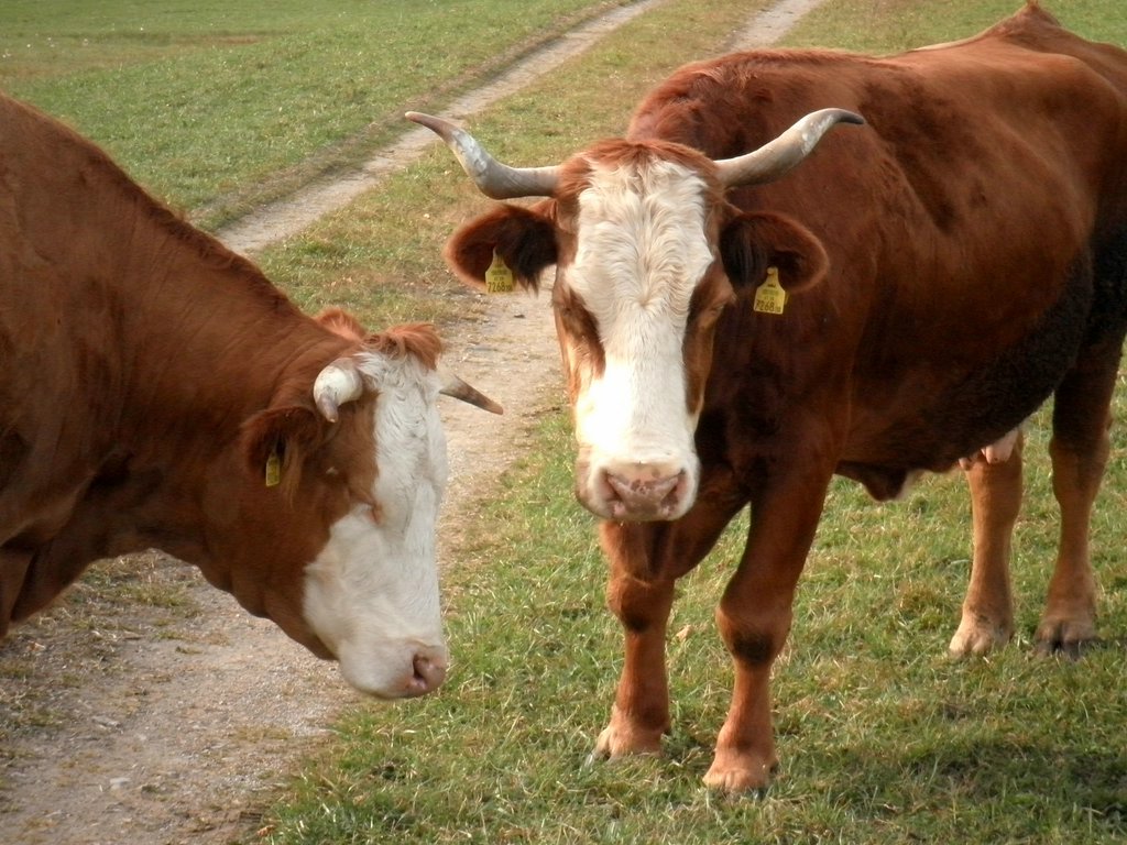 PA230082.JPG