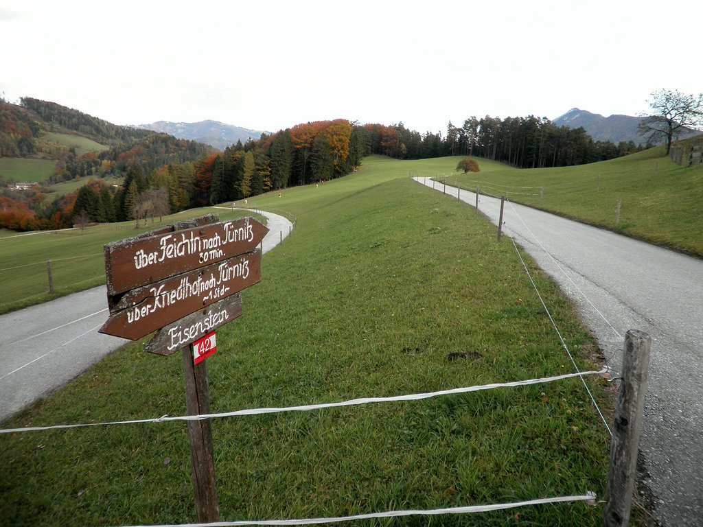 PA230084.JPG
