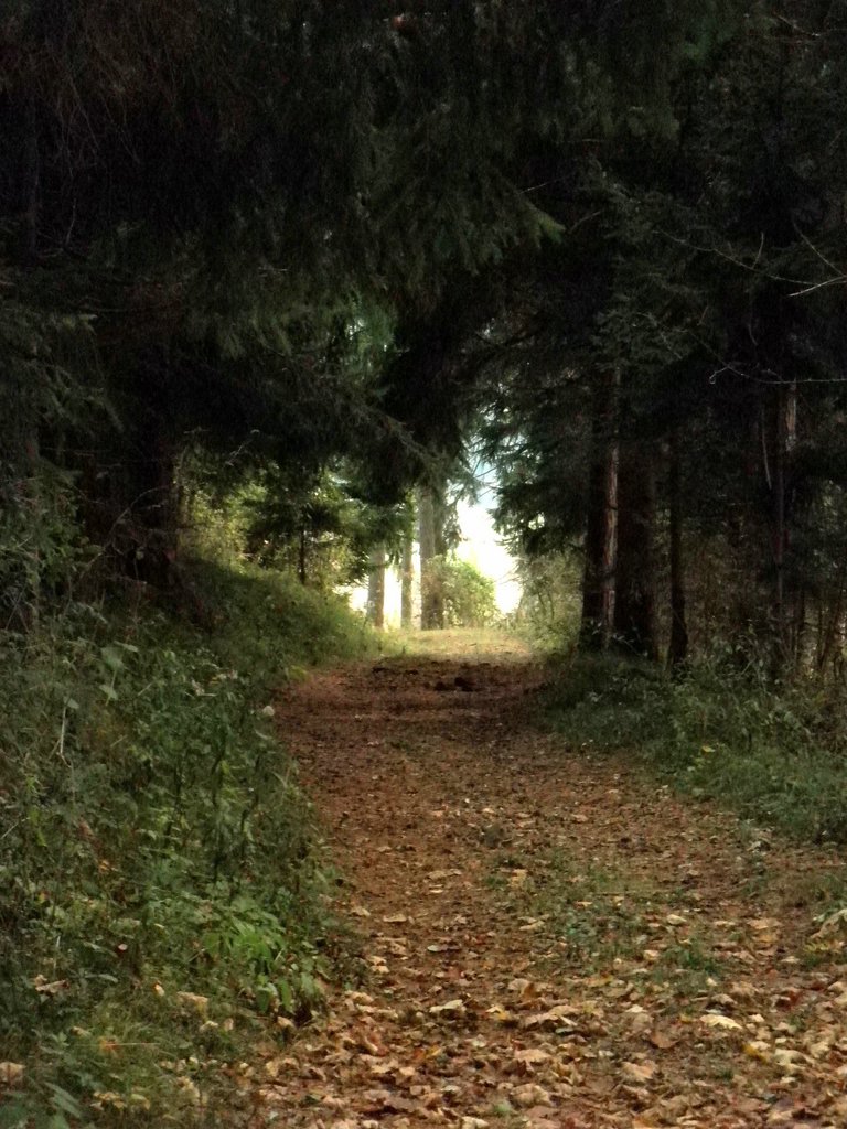 PA230085.JPG